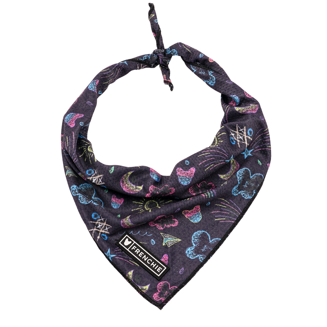 Cooling bandana