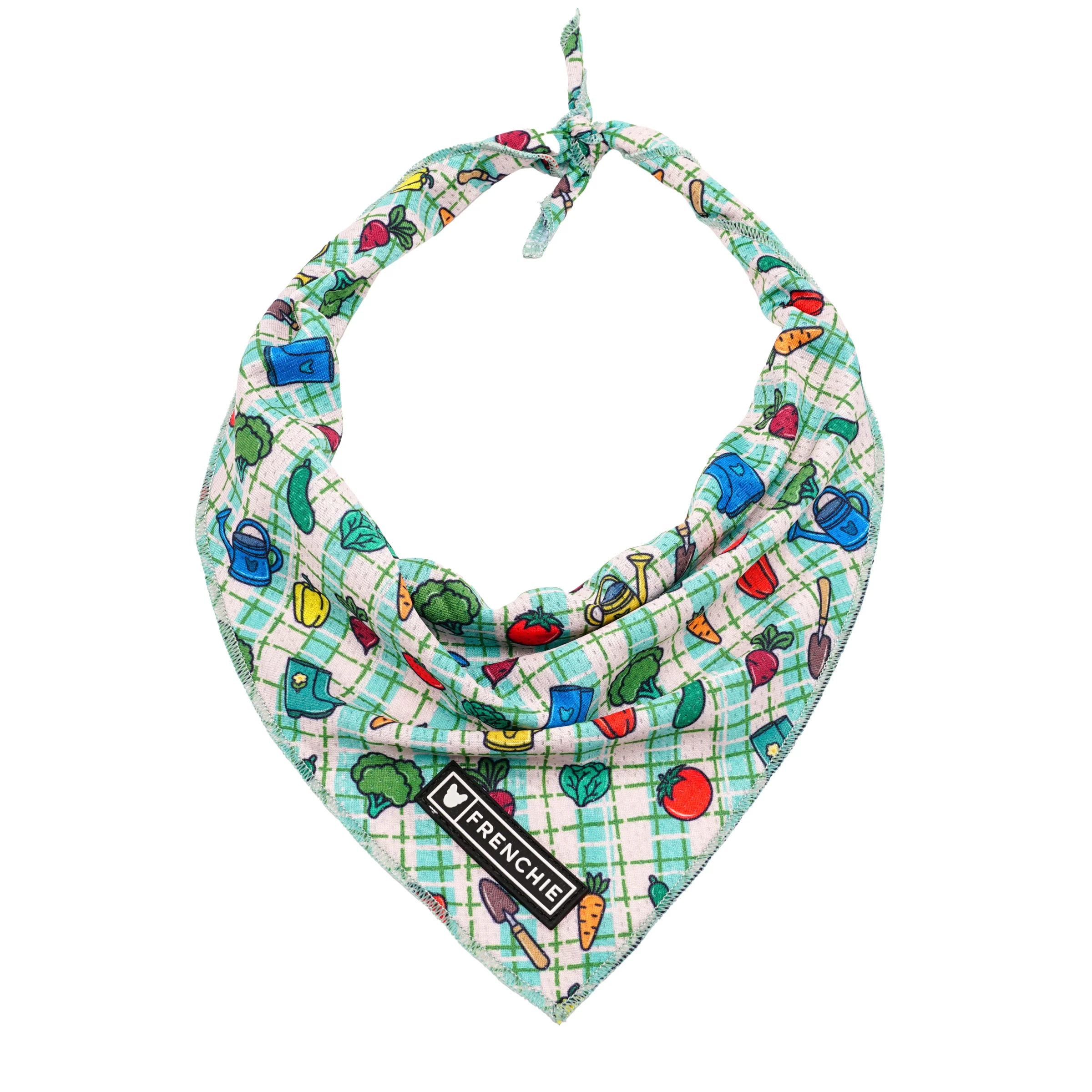 Veggies print cooling bandana