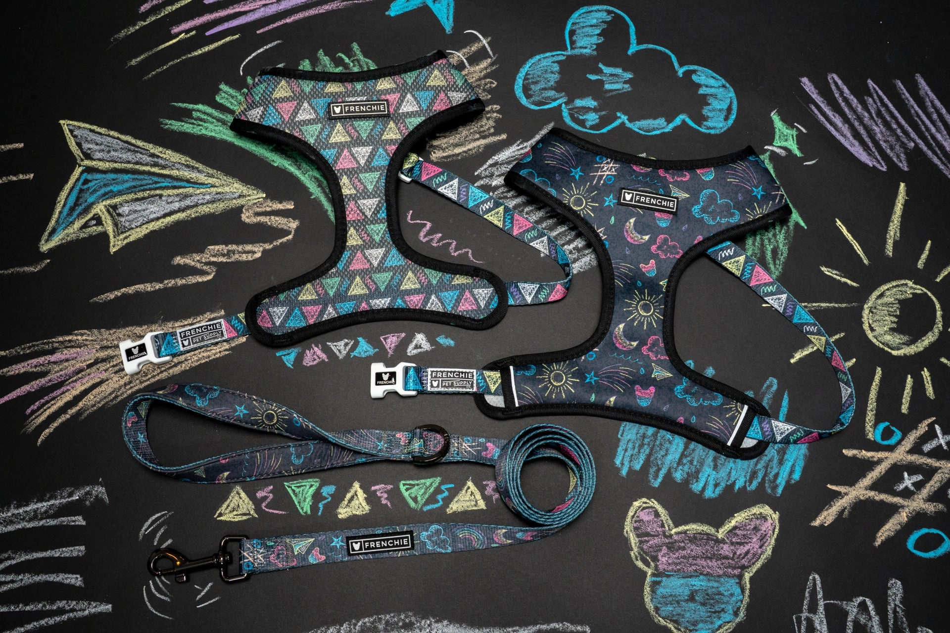 Chalk Art harnesses and leash laid out on a chalkboard