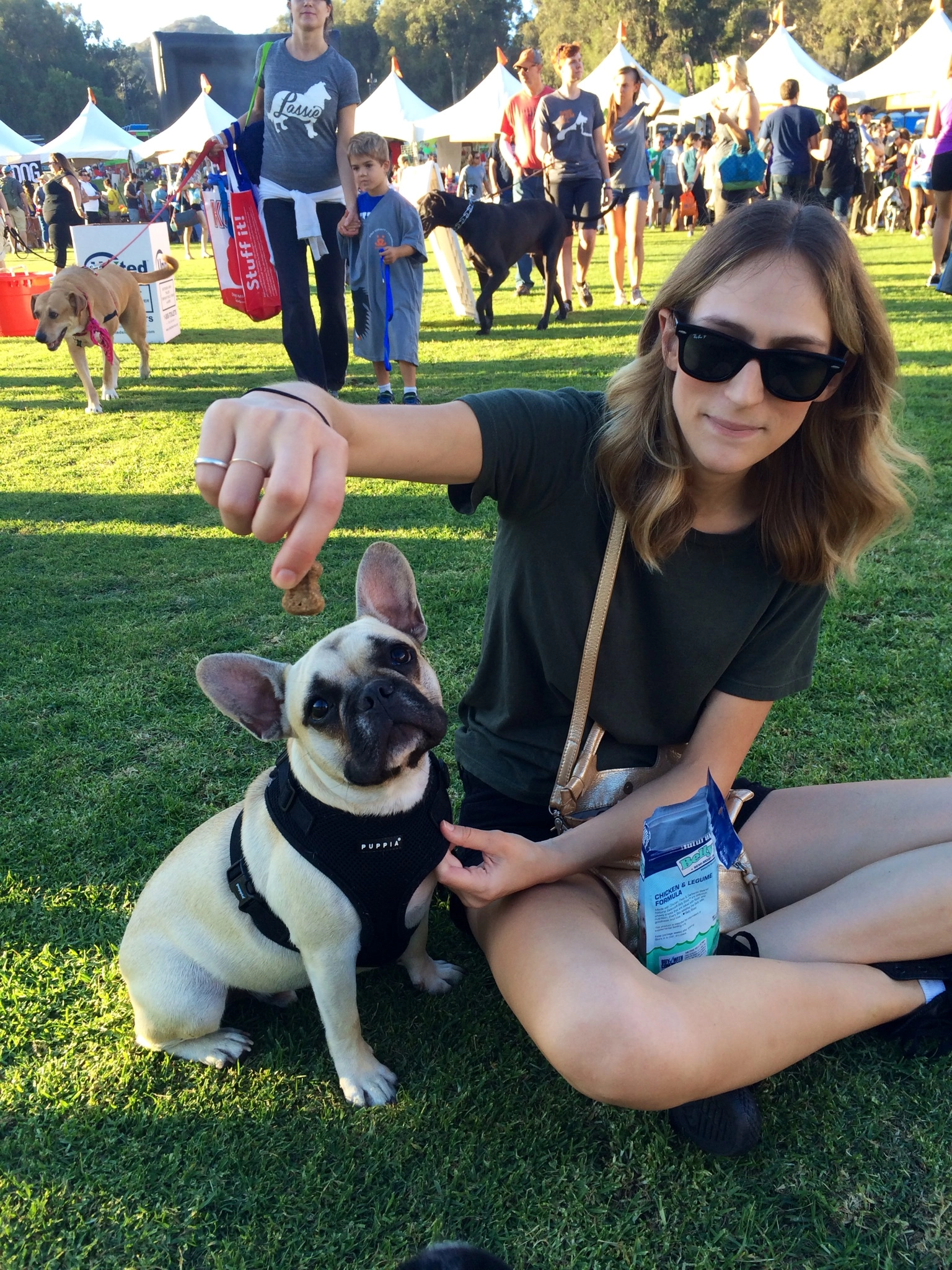 A woman sitting in a park with two French Bulldogs