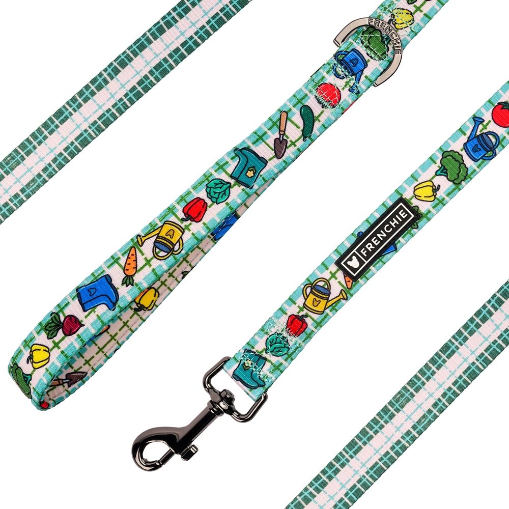 Veggies comfort leash